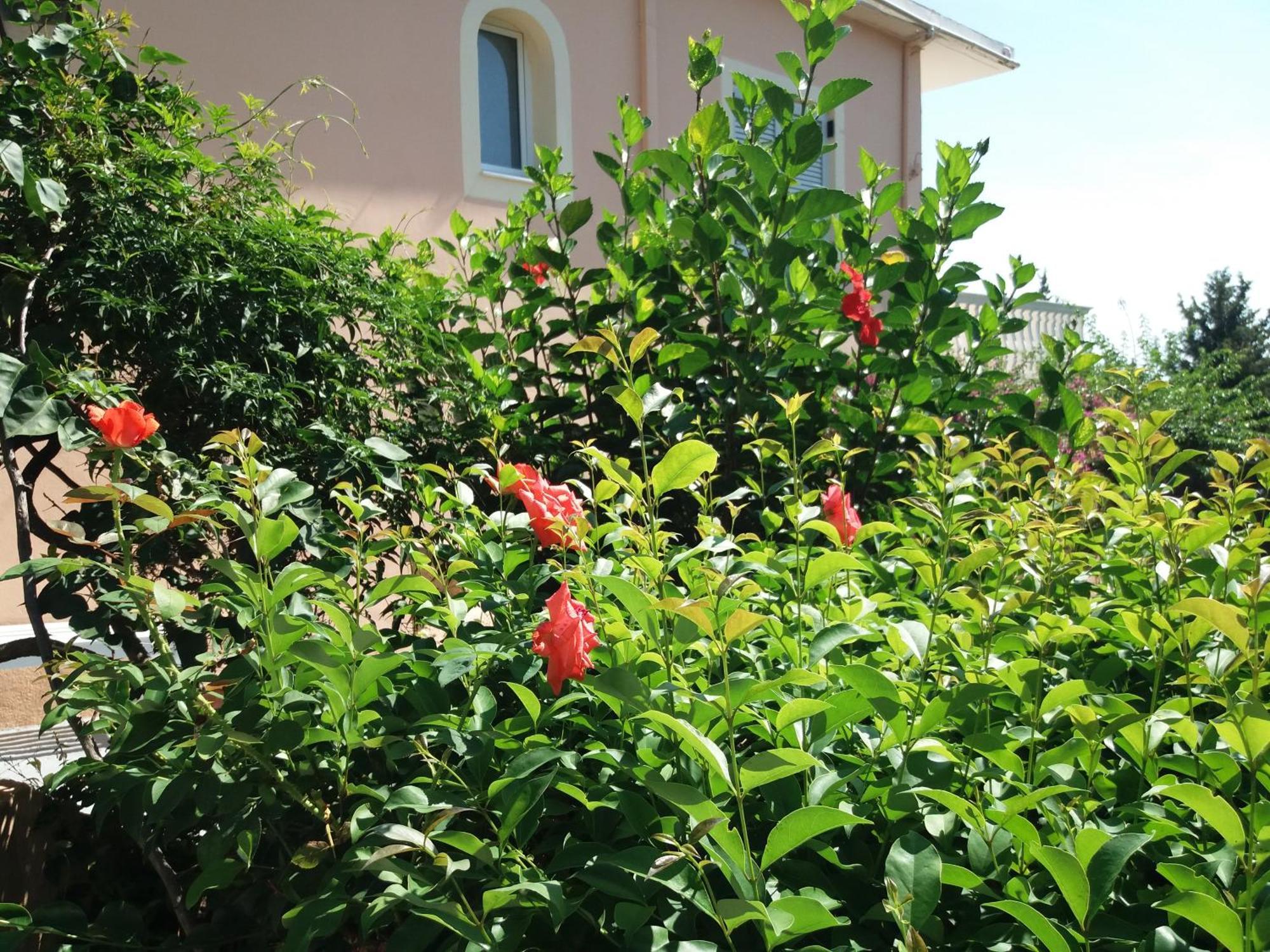 Apostolos & Eleni Family Apartments Perama  Buitenkant foto